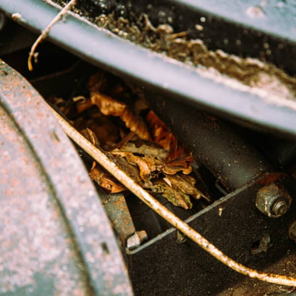 1981 Saab 99 Turbo Arrival Photoshoot 83