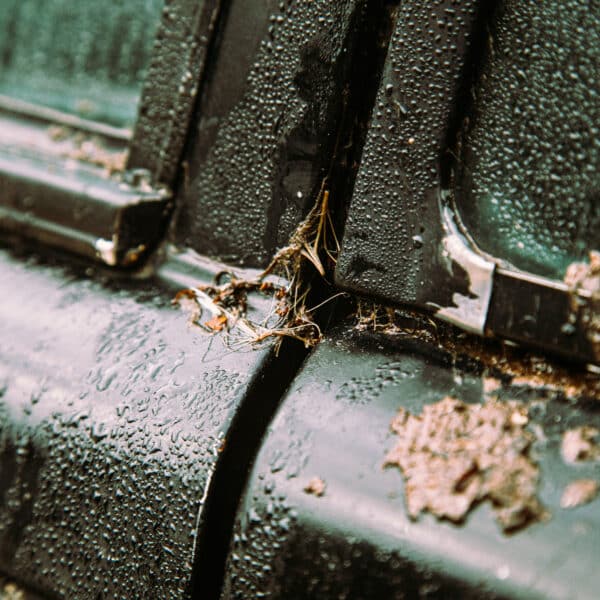 1981 Saab 99 Turbo Arrival Photoshoot 89