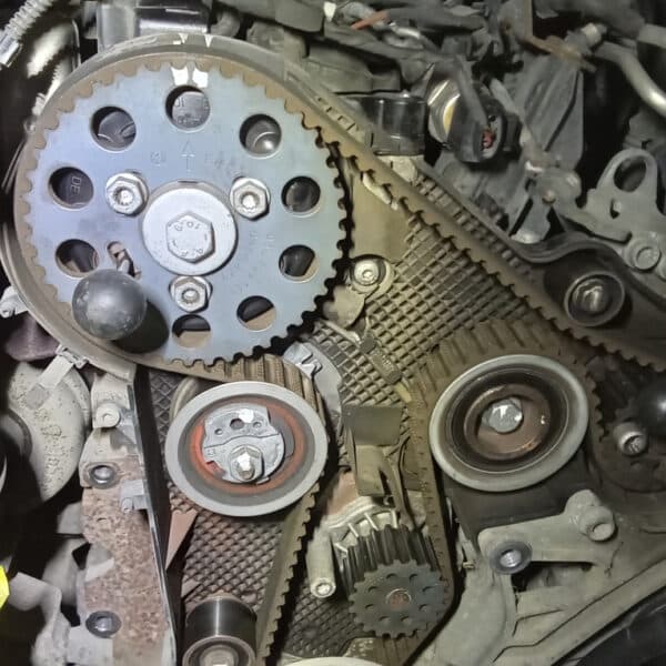 221025 2015 Volkswagen T5.1 Cambelt and Water Pump 11