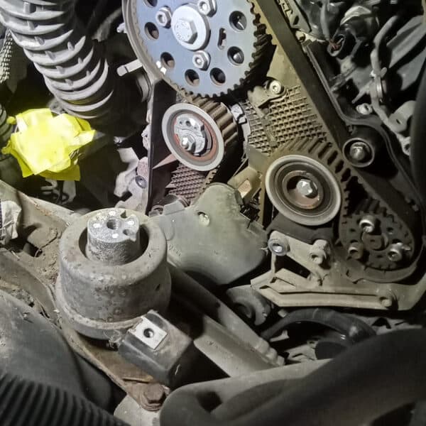 221025 2015 Volkswagen T5.1 Cambelt and Water Pump 13