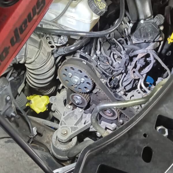 221025 2015 Volkswagen T5.1 Cambelt and Water Pump 14