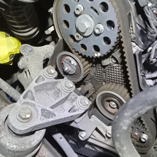 221025 2015 Volkswagen T5.1 Cambelt and Water Pump 15