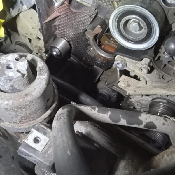 221025 2015 Volkswagen T5.1 Cambelt and Water Pump 2