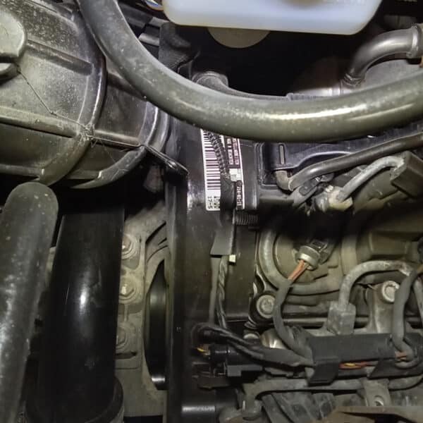 221025 2015 Volkswagen T5.1 Cambelt and Water Pump 21