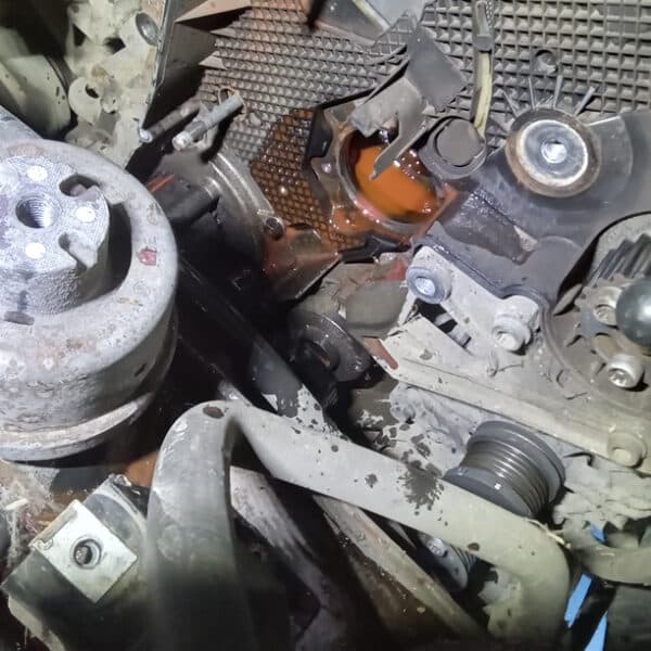 221025 2015 Volkswagen T5.1 Cambelt and Water Pump 6