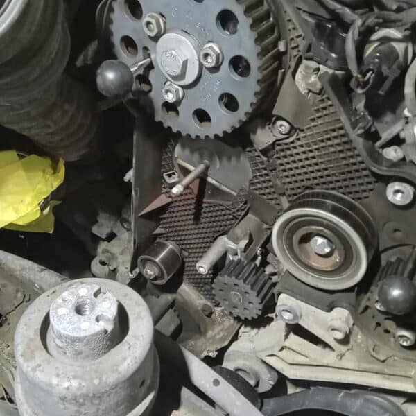 221025 2015 Volkswagen T5.1 Cambelt and Water Pump 8