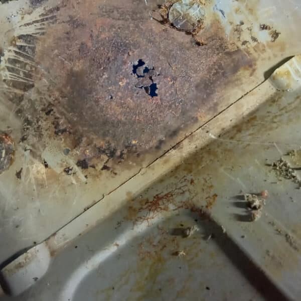 281025 1991 Jaguar XJS Fuel System 12