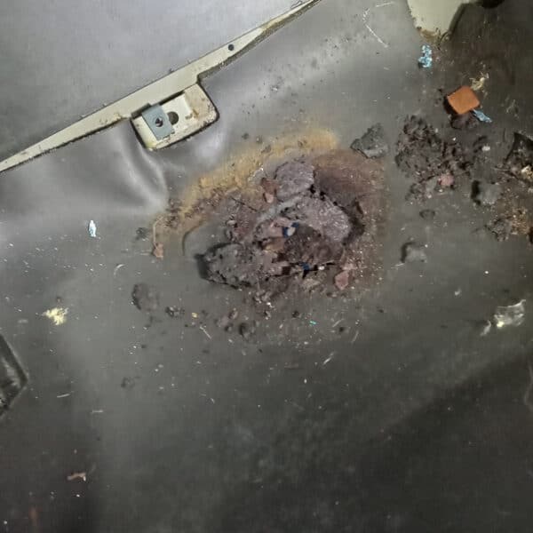 281025 1991 Jaguar XJS Fuel System 18