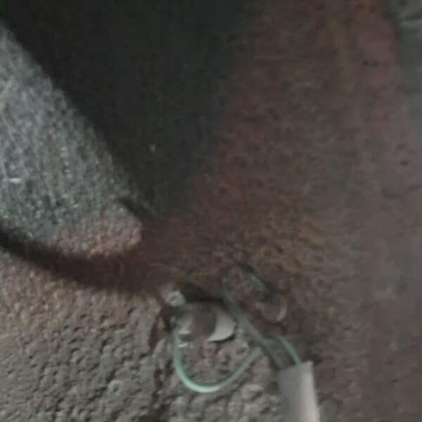 181125 1989 Jaguar XJS Appraisal