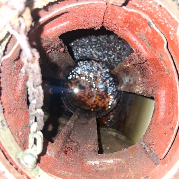 211125 1944 Ford GPW Fuel Filter and New Fuel 2