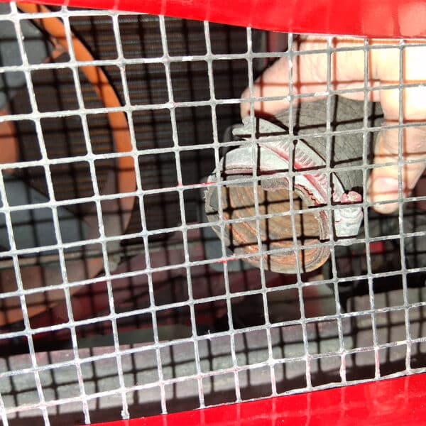 211125 1991 TVR V8S Appraisal 9