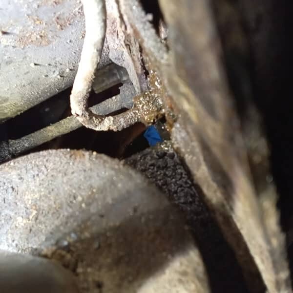 140126 1996 Bentley Continental R Rear Caliper 10