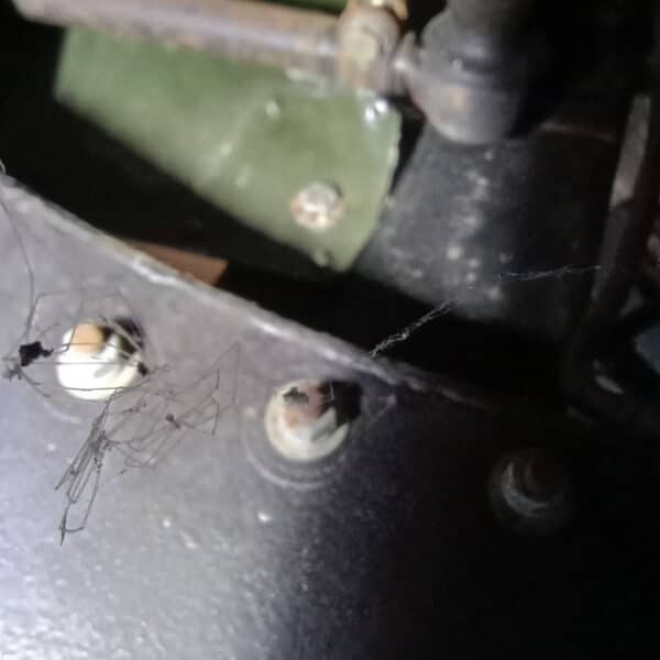 210126 1956 Land Rover Series 1 Checks and Repairs 7