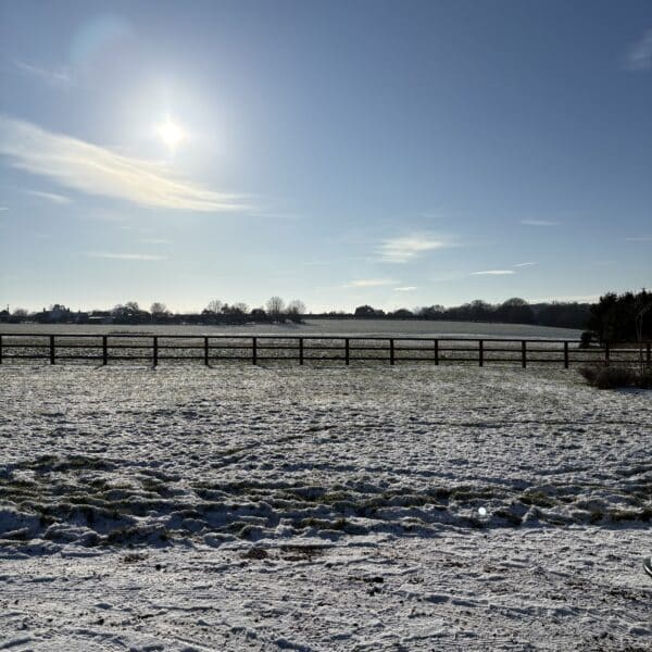 Behind the scenes Mercedes 280SL 2