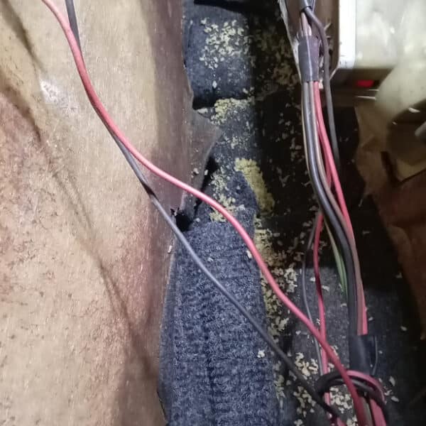 140226 1989 TVR Tasmin PDI and Tyres 2