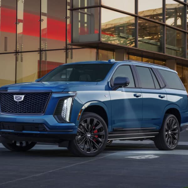 Calillac Escalade 2 crop