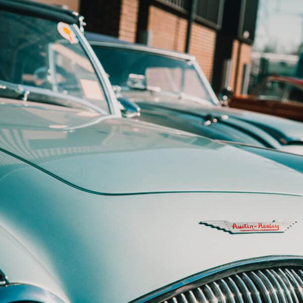 180326 1955 Austin Healey 100 1960 Austin Healey 3000 Outside Workshop 20