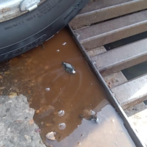 22042026 1978 MGB GT MOT Prep 8