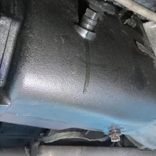 29042026 1967 Sunbeam Tiger Service 14