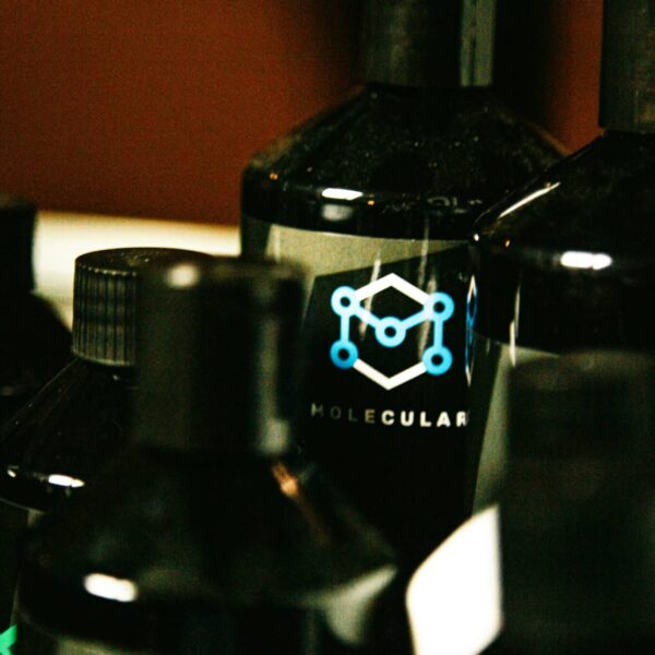 Mollecular Advent 6 scaled 1