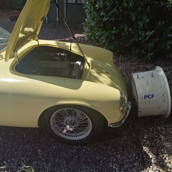 070726 1962 Lotus Elite Ceramic Coating Engine 2