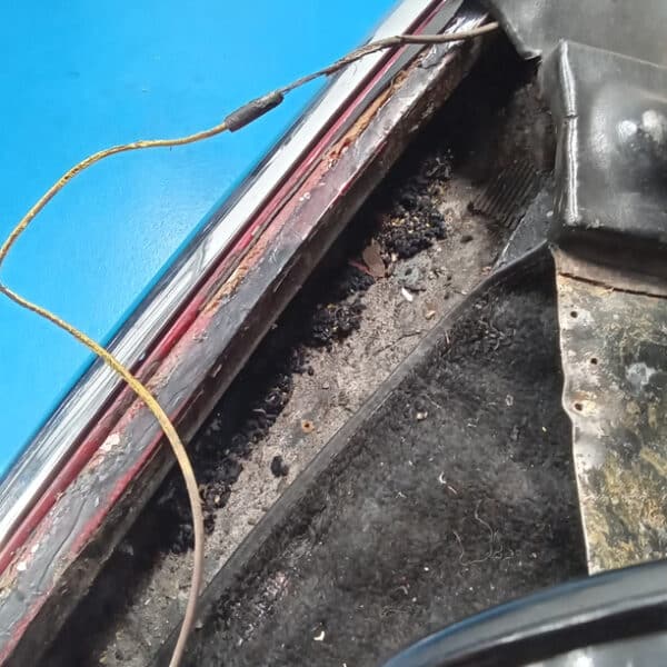 090726 1952 Bentley MkVI Drophead All Lighting Wires Chewed 2
