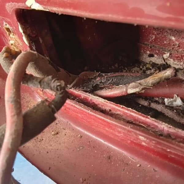 090726 1952 Bentley MkVI Drophead Rear Lights Chewed and Broken 7