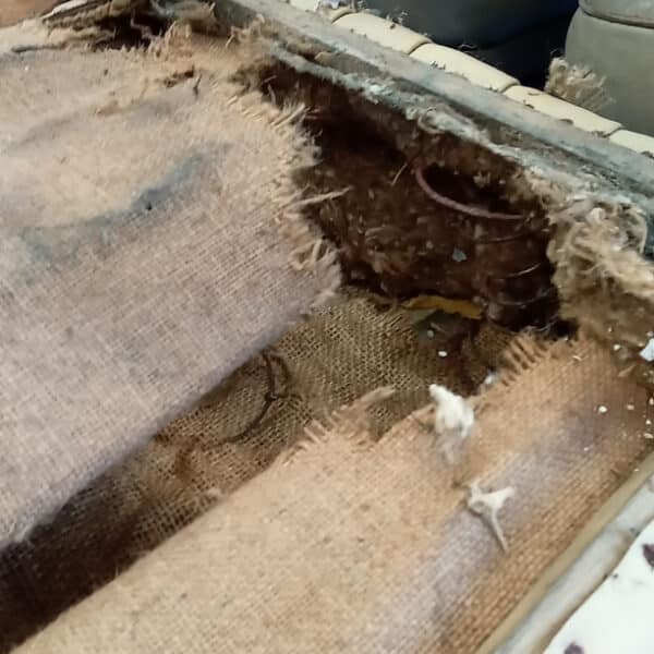 140726 1952 Bentley MkVI Drophead Front and Rear Seats Removed 3