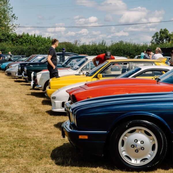 Summer Show 2026 66 1