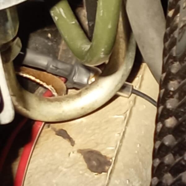 230726 1981 Porsche 911 O2 Sensor Plug Fixed 1
