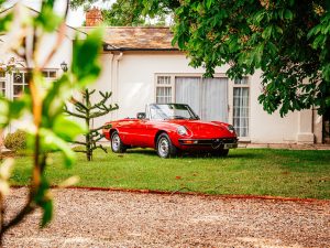 1977 Alfa Romeo 2000 Spider Product Photos-45