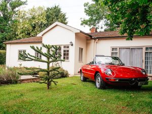 1977 Alfa Romeo 2000 Spider Product Photos