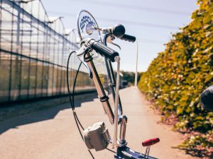 1979 Raleigh Chopper Product Photos-13