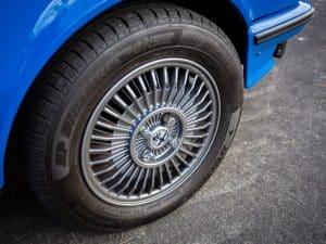 1981 Alfa Romeo Competition Photos-17