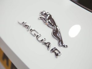 2015 Jaguar F-Type Competition Photos-29