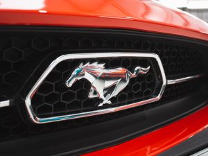 2016 Ford Mustang GT 5.0 Comp Photos-29