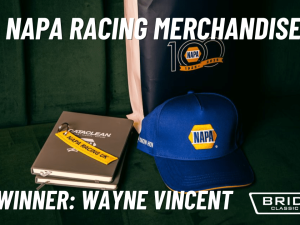 Advent Calendar Winner - (17)