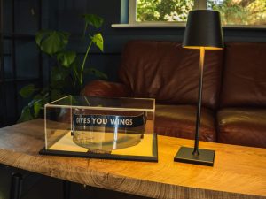 David Coulthard Visor_ (16)