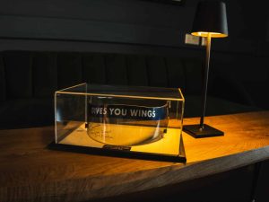 David Coulthard Visor_ (2)