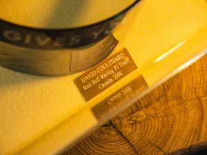 David Coulthard Visor_ (21)