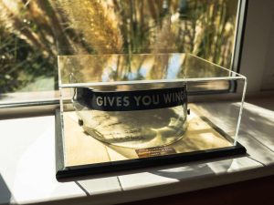 David Coulthard Visor_ (30)