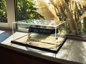 David Coulthard Visor_ (34)