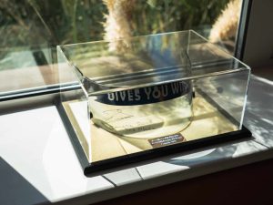 David Coulthard Visor_ (41)