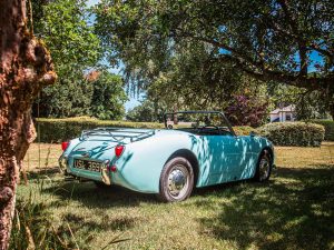 Frogeye Sprite images (14)