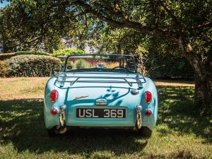 Frogeye Sprite images (16)