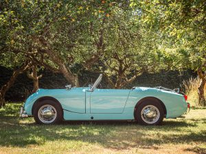 Frogeye Sprite images (22)