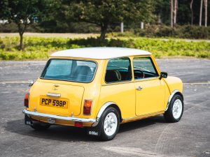 Yellow Mini photos-24